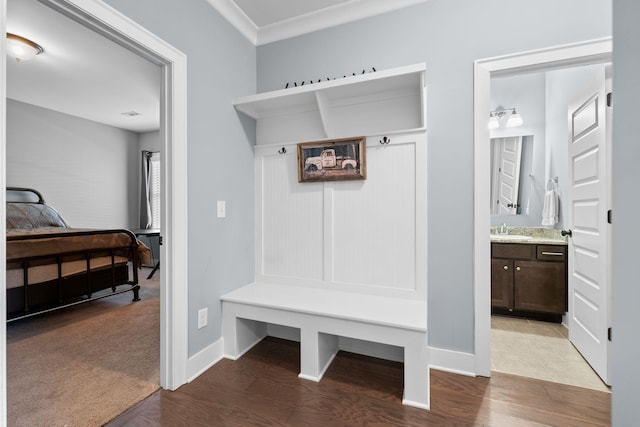 mudroom with wood-type flooring, crown molding, and sink