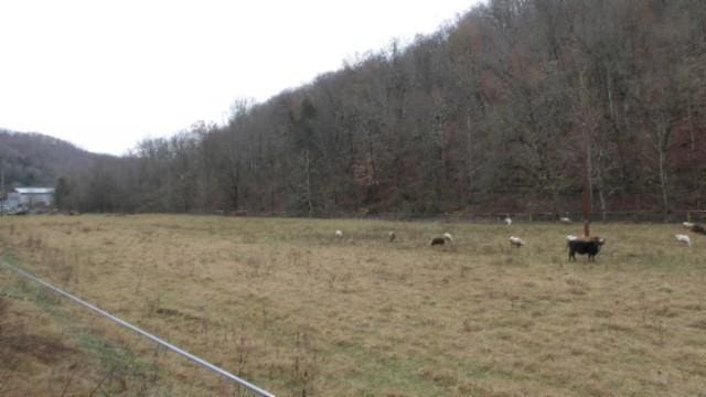 view of yard featuring a rural view