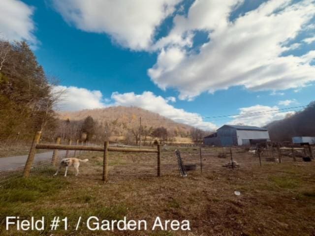 view of yard with a mountain view and a rural view