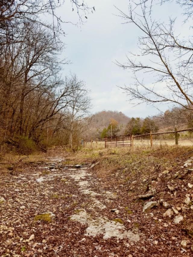 view of landscape featuring a rural view