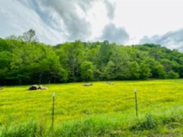 1611 Knob Creek Rd, Celina, TN 38551 - view of yard featuring a wooded view