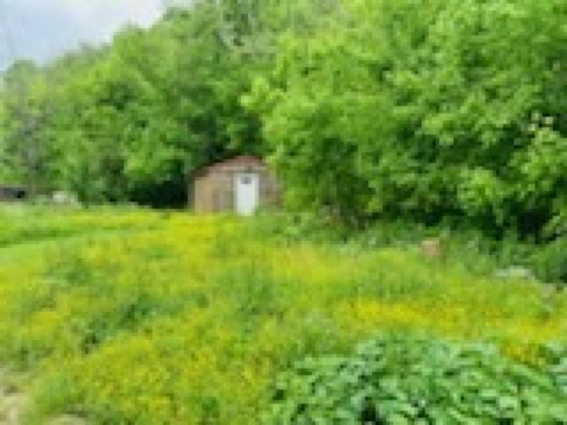 1611 Knob Creek Rd, Celina, TN 38551 - view of yard