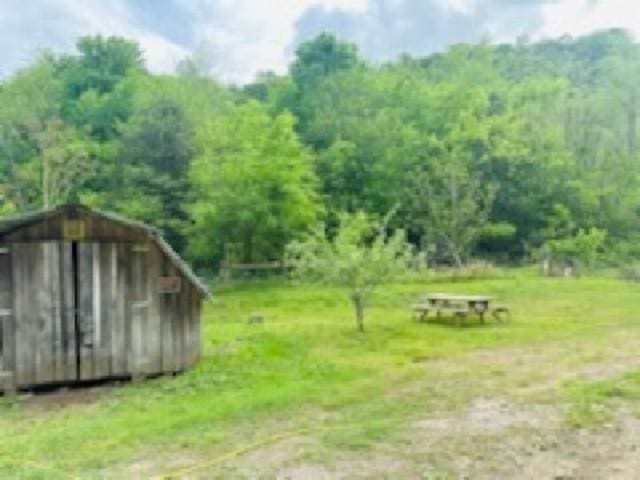 1611 Knob Creek Rd, Celina, TN 38551 - view of yard with a wooded view, a shed, and an outbuilding