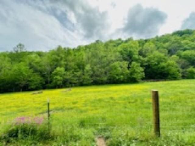 1611 Knob Creek Rd, Celina, TN 38551 - view of yard with a view of trees