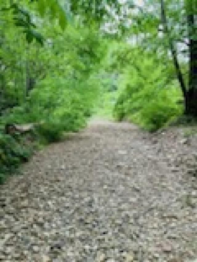 1611 Knob Creek Rd, Celina, TN 38551 - view of surrounding community