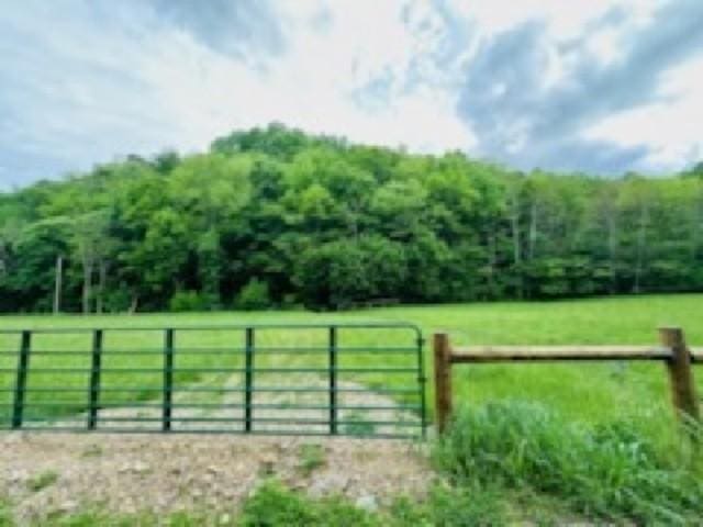 1611 Knob Creek Rd, Celina, TN 38551 - view of gate featuring fence, a rural view, a view of trees, and a lawn