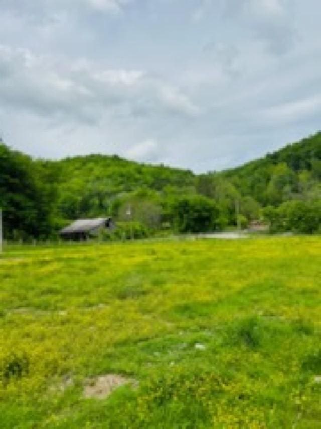 1611 Knob Creek Rd, Celina, TN 38551 - view of home's community with a mountain view and a yard