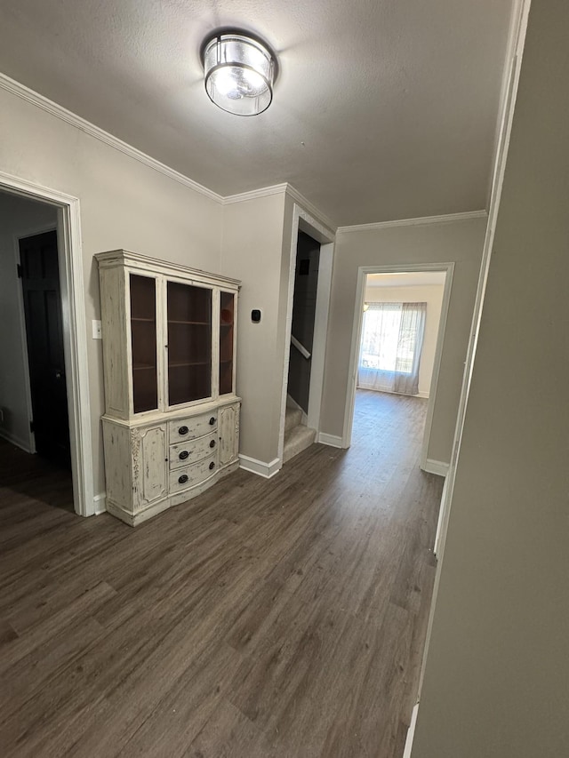 interior space with ornamental molding, a textured ceiling, and dark wood-type flooring