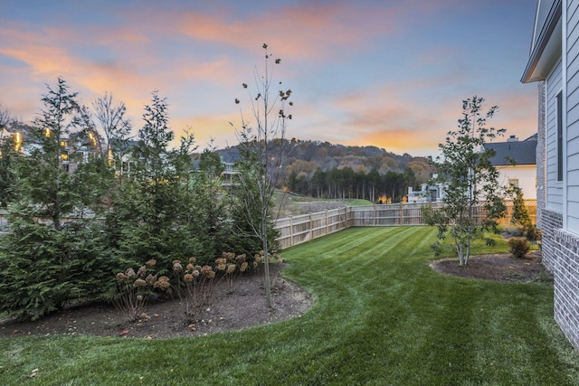 view of yard at dusk