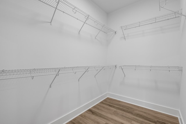 spacious closet with hardwood / wood-style flooring