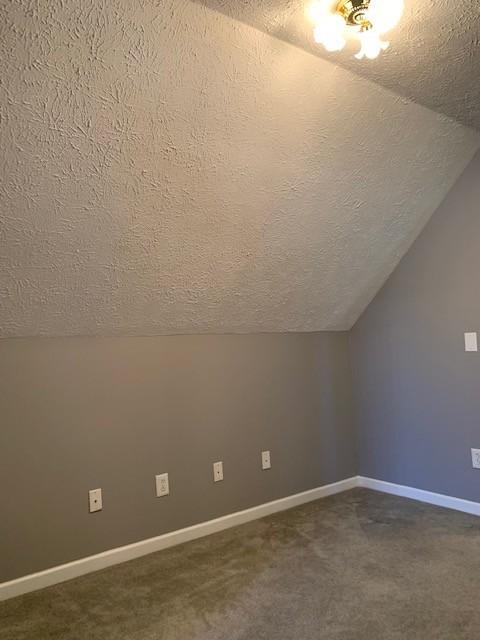 additional living space featuring carpet flooring, lofted ceiling, and a textured ceiling
