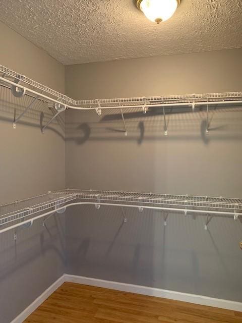 spacious closet featuring hardwood / wood-style floors