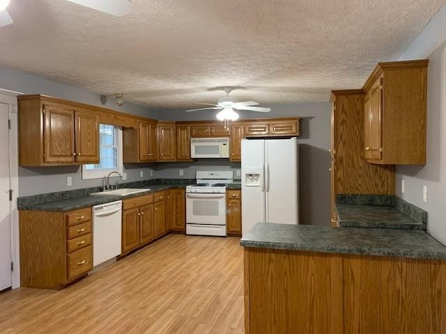 kitchen featuring light wood-type flooring, a textured ceiling, white appliances, and sink