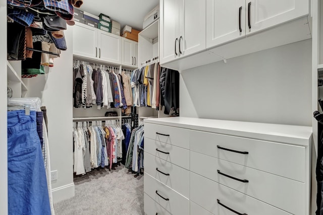 spacious closet with light carpet