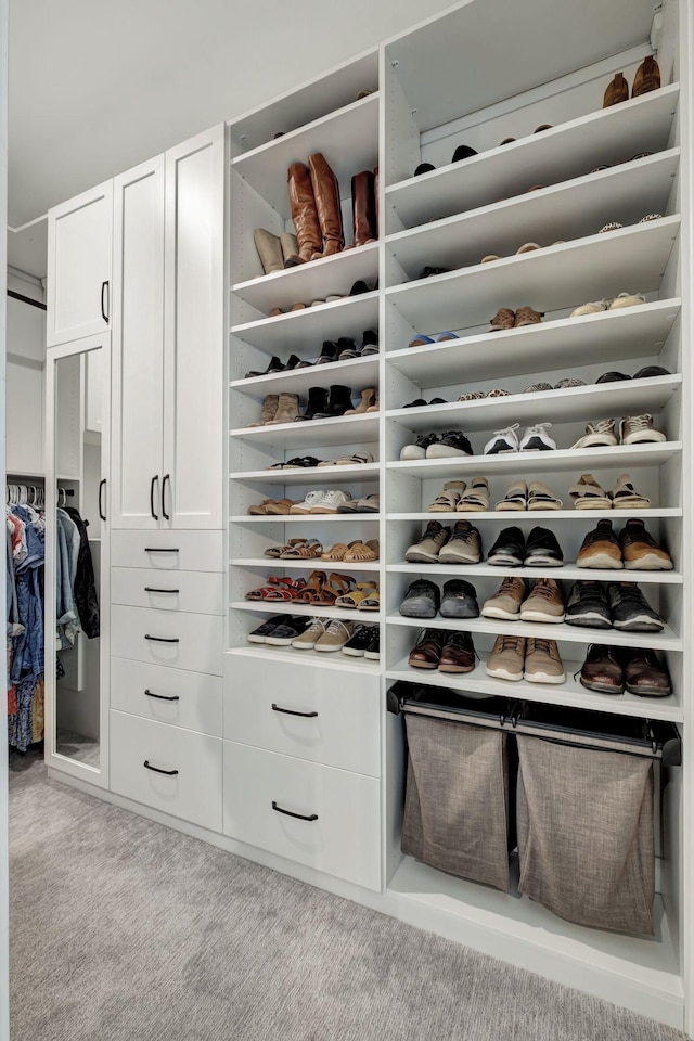 view of closet