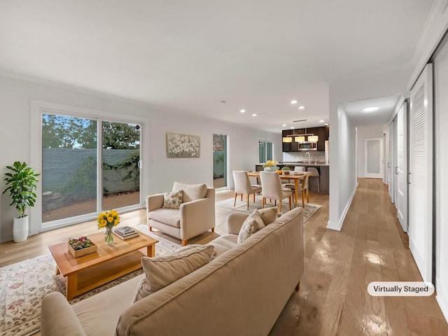 living room with light hardwood / wood-style floors