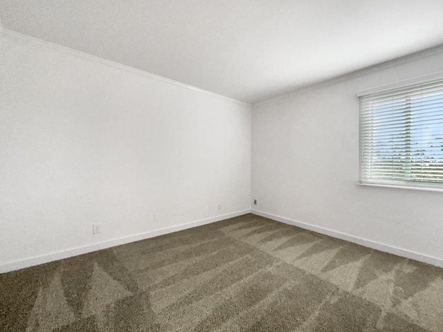 spare room with crown molding and carpet floors