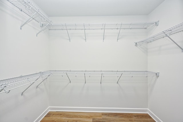 walk in closet featuring wood-type flooring