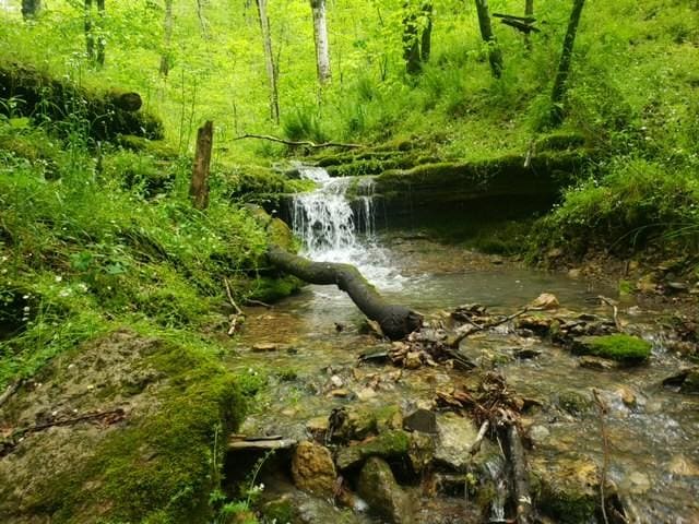 0 Sycamore Valley Rd, Pleasant Shade TN, 37145 land for sale