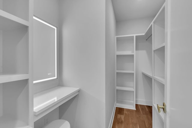 spacious closet featuring dark wood-type flooring