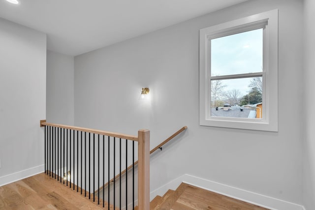 stairway featuring wood-type flooring and plenty of natural light