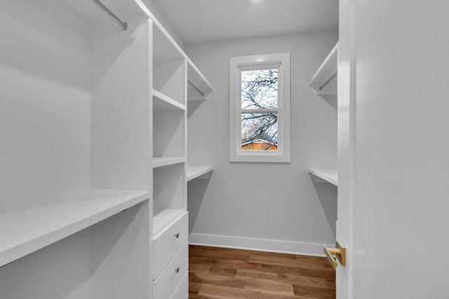 walk in closet featuring light hardwood / wood-style floors