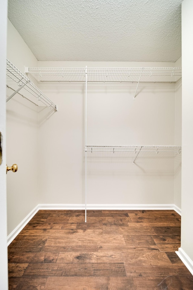 walk in closet with dark hardwood / wood-style floors