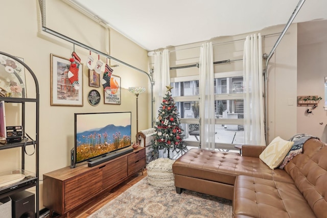 living area featuring hardwood / wood-style floors