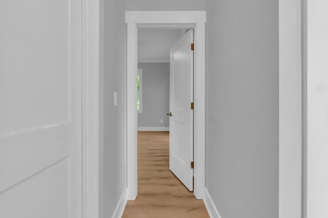 4217 Oakland Ave Lot 194, Chattanooga, TN 37410 - corridor with baseboards and light wood-type flooring