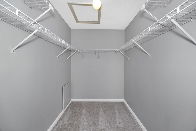 spacious closet with carpet