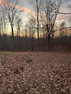 199 Broaderick Ln, Cottontown, TN 37048 - photo 41