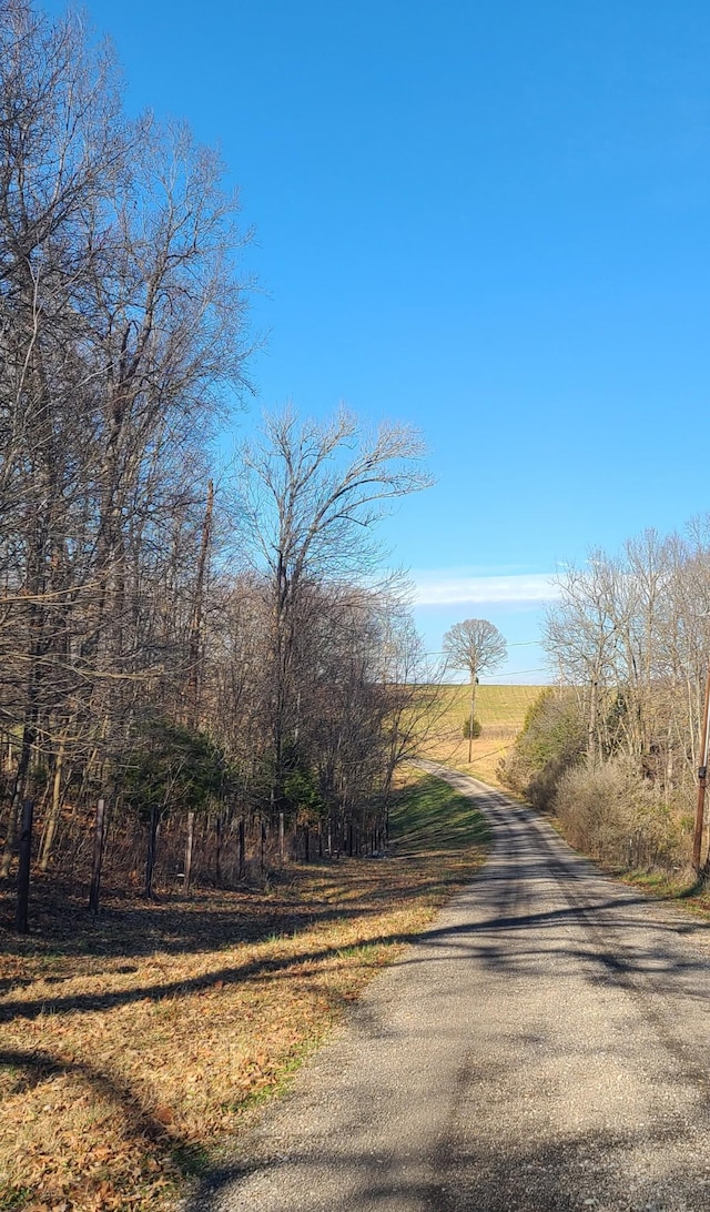 view of road with a rural view