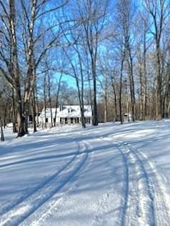 view of snowy yard