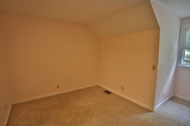 199 Broaderick Ln, Cottontown, TN 37048 - photo 49