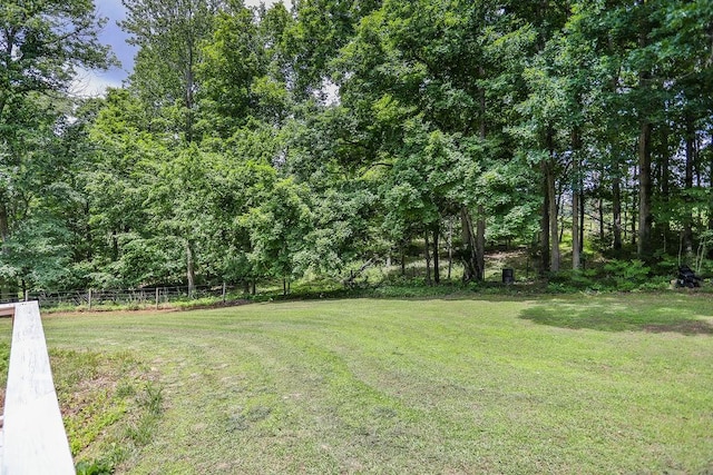 199 Broaderick Ln, Cottontown, TN 37048 - photo 43