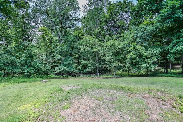 199 Broaderick Ln, Cottontown, TN 37048 - photo 52