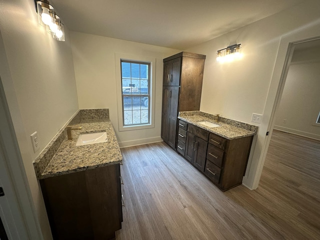 bathroom featuring wood-type flooring and sink