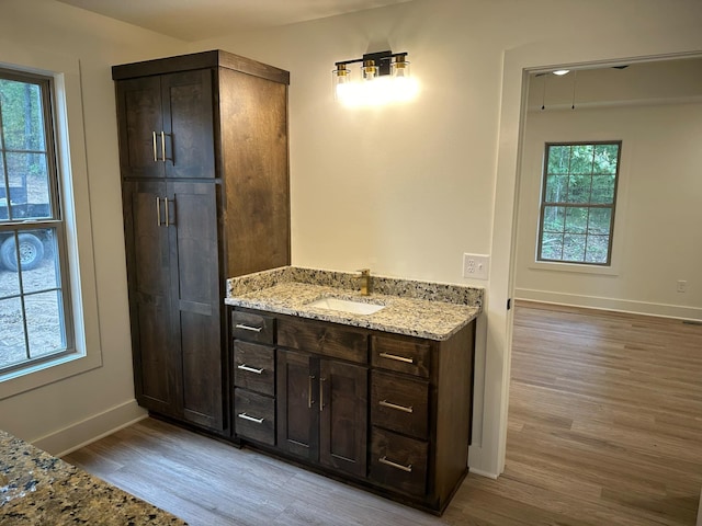 bathroom featuring hardwood / wood-style flooring, plenty of natural light, and vanity