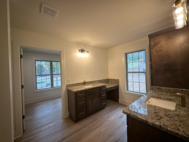 bathroom featuring hardwood / wood-style floors, vanity, and a wealth of natural light