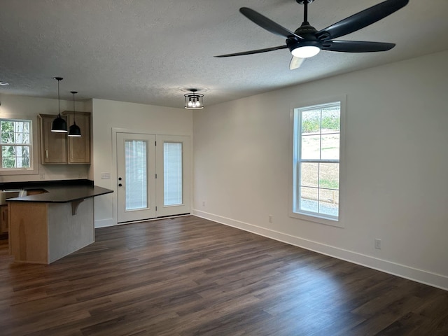 kitchen with dark hardwood / wood-style floors, a kitchen bar, plenty of natural light, and hanging light fixtures