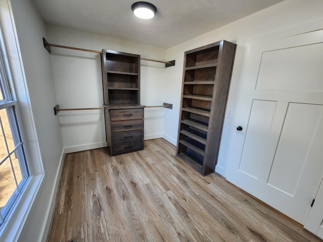 spacious closet featuring light hardwood / wood-style flooring