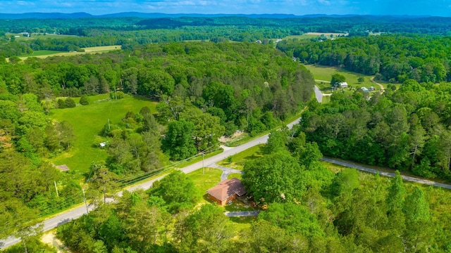 drone / aerial view featuring a mountain view