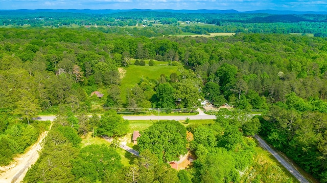 aerial view with a mountain view