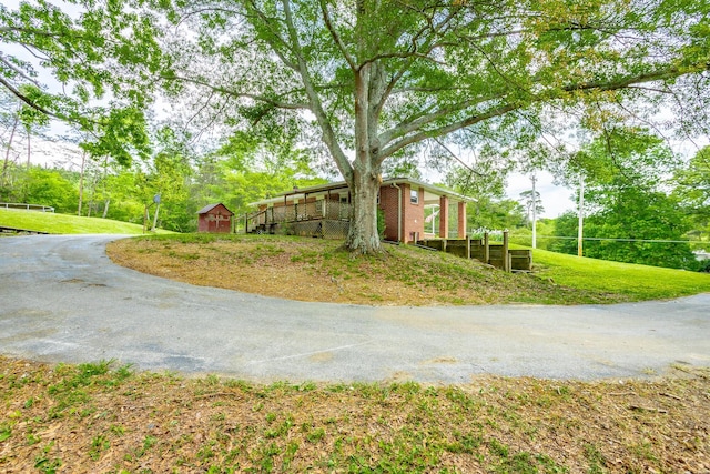 view of yard with a storage unit