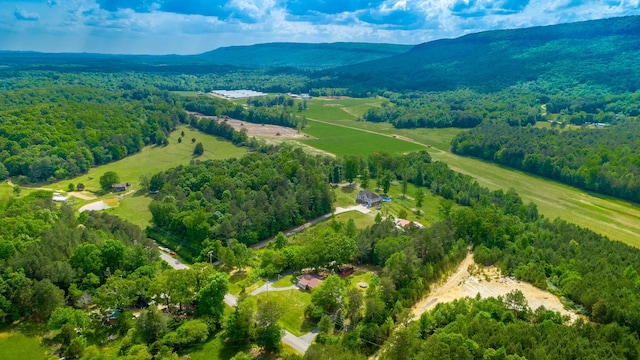 drone / aerial view featuring a mountain view