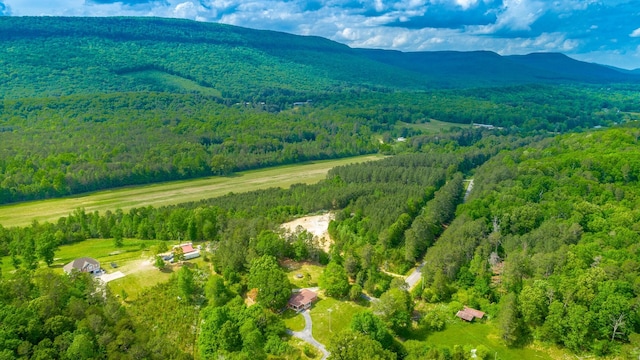 aerial view with a mountain view