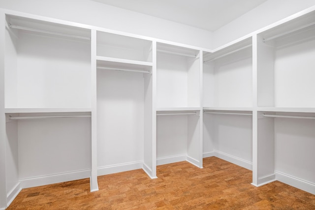 spacious closet featuring carpet flooring