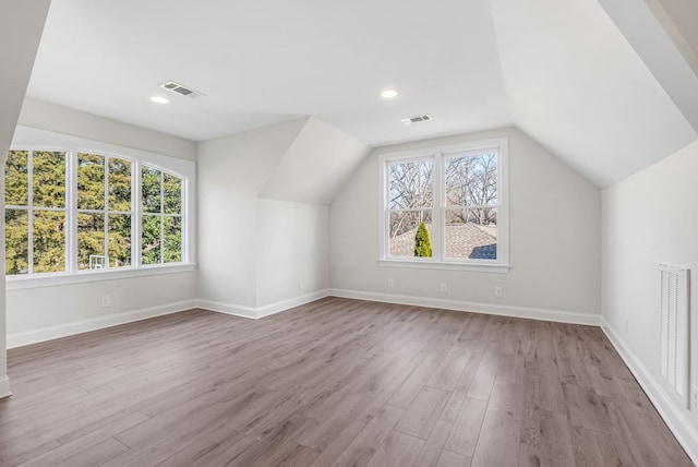 additional living space featuring lofted ceiling, a wealth of natural light, and light wood-type flooring