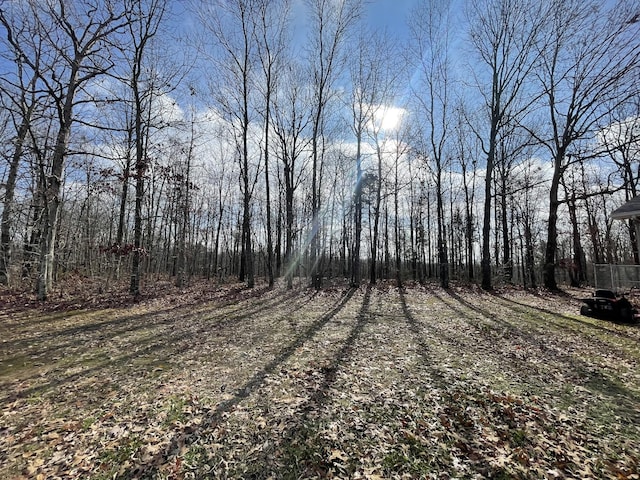 view of local wilderness