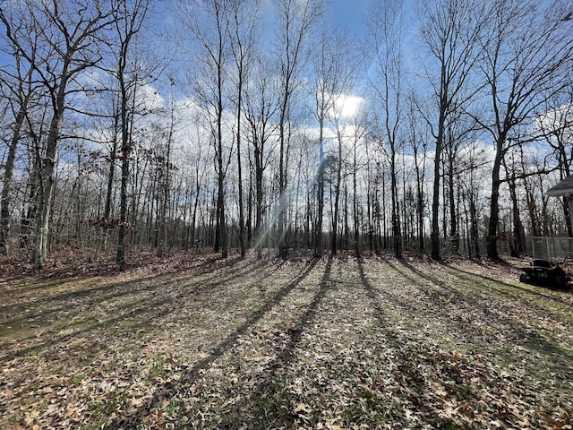 173 Twin Oaks Dr, Hohenwald, TN 38462 - view of yard